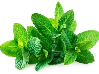 Mint 1/2 lb