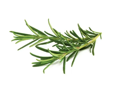 Rosemary 1lb