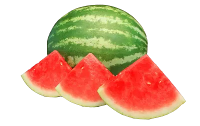 Watermelon Seedless per each