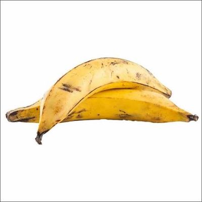 Plantain 50lb Yellow