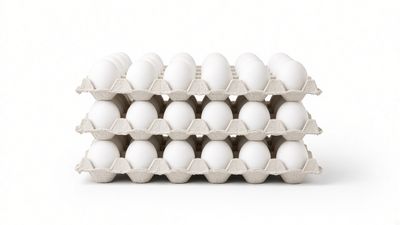 Eggs (White), 15 dozen, Flats Grassfed Sexton Farm Hendersonville, NC