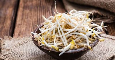 Mung Bean 5lb box In Stock