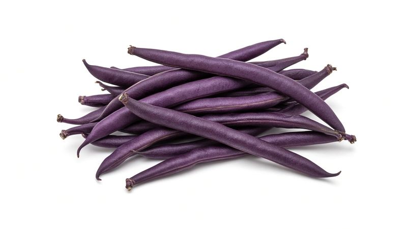 Beans, Purple, 10 lb. Organic TendWell Farm Old Fort, NC