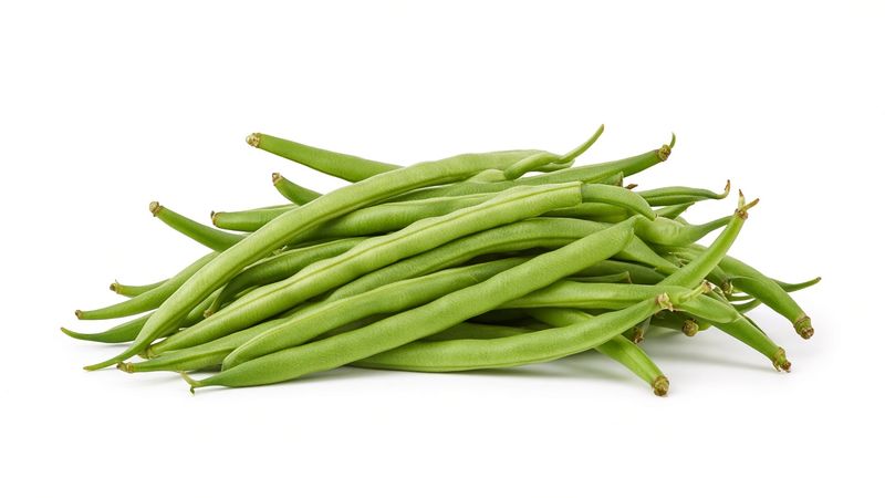 Beans, Blue Lake, bu. Conventional Edmundson Produce Farm Mills River, NC