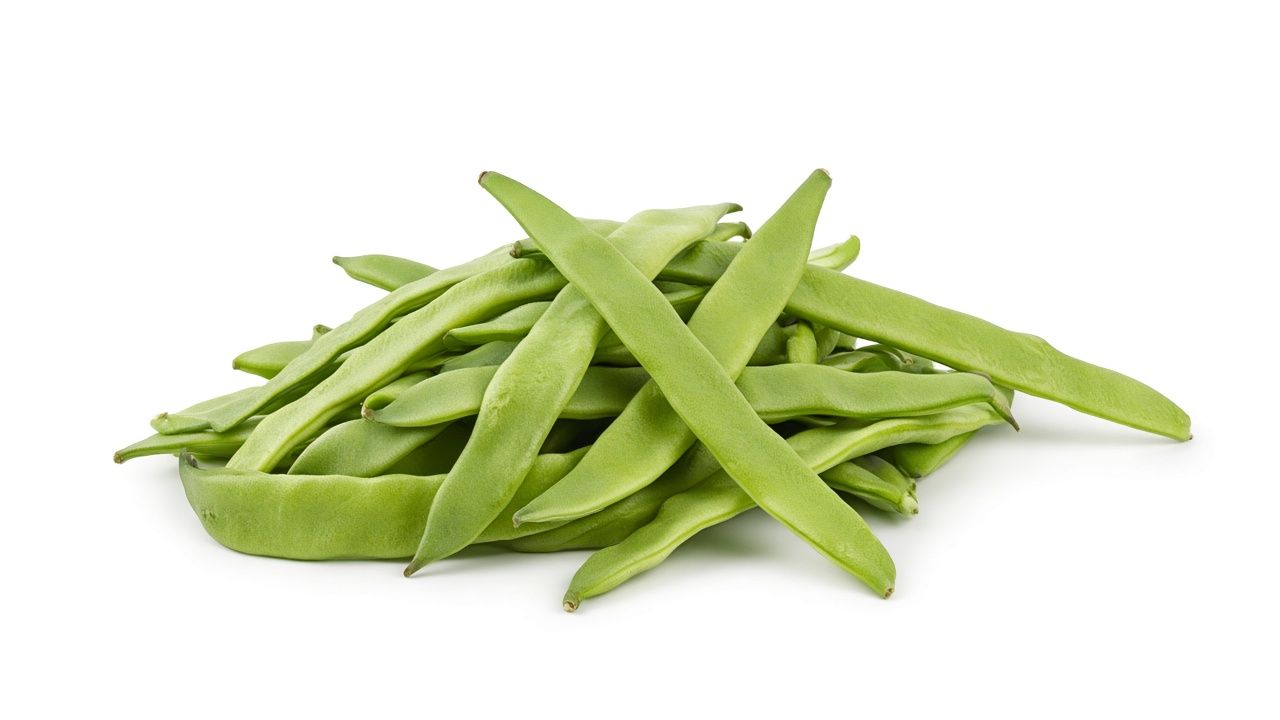 Beans, Romano, 10 lb. *limited* Non-certified Asheville Harvest Fletcher, NC
