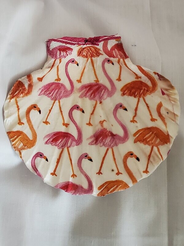 Scallop Shell  Flamingo's