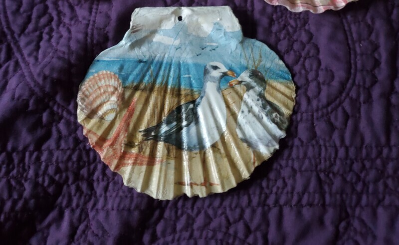 Scallop Shells