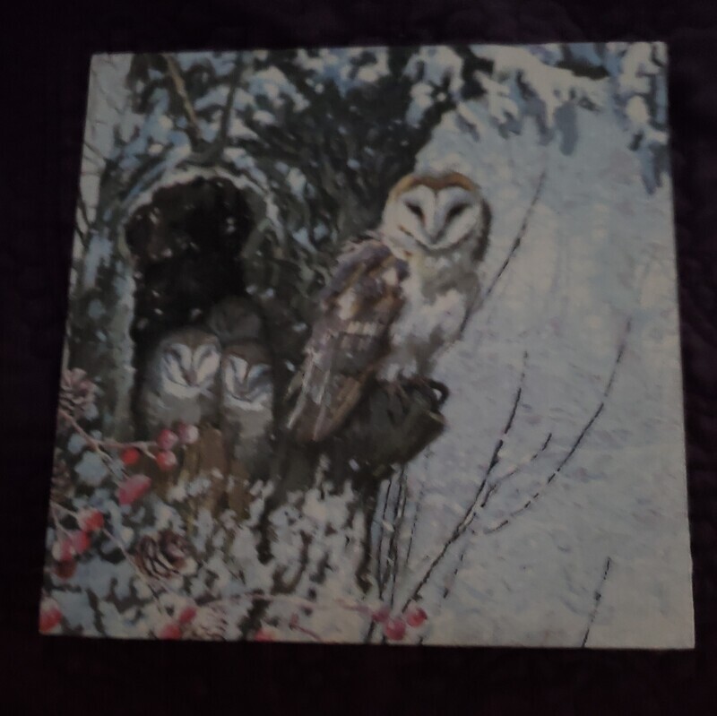 Owl Wall Hanger