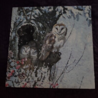 Owl Wall Hanger