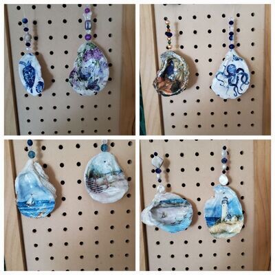 Oyster Shells