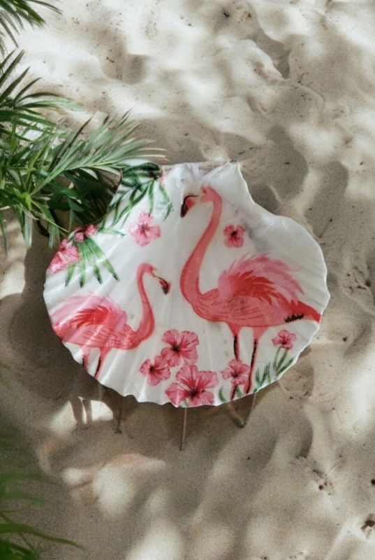 Scallop Shell-Flamingo's