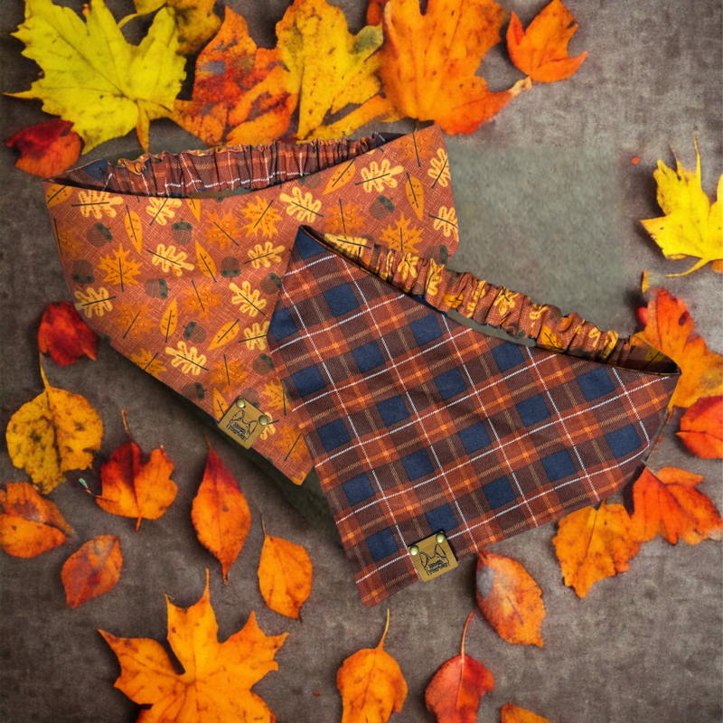 Autumn Leaves Reversible Scrunchie Bandana