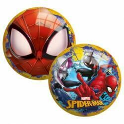ballon Spiderman 23 cm
