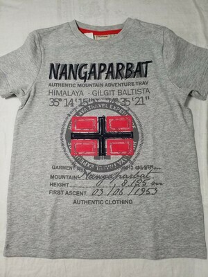 T-shirt gris imprimé Nangaparbat