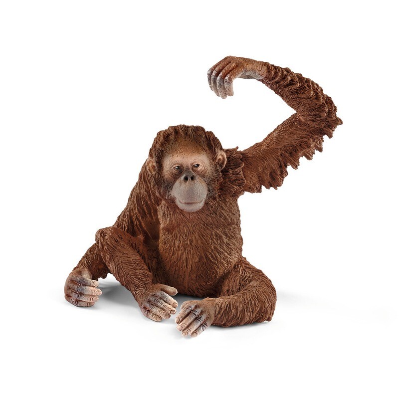 Orang-outan, femelle Schleich