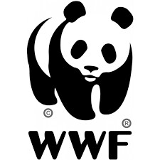 Peluche WWF Loup Floppy 15 cm