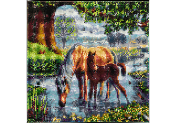 Chevaux dans la rivière, Image 30x30cm Crystal Art Kit