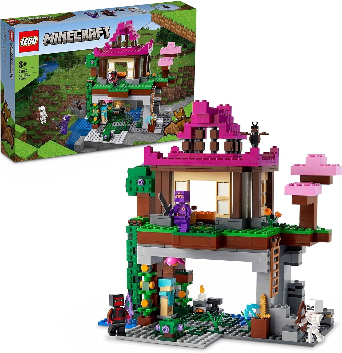LEGO 21183 Minecraft Le Camp d’Entraînement: Jouet de Construction avec Maison, Grotte, Figurines, Squelette, Ninja, Rebelle, Cadeau Noël, Garçons, Filles, 8 Ans et Plus, Univers Minecraft