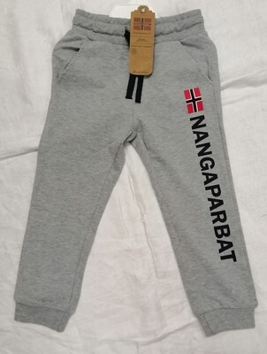 Pantalon de jogging gris imprimé Nangaparbat