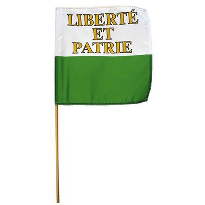 Drapeau vaudois sur bâton en bois 30 x 30cm