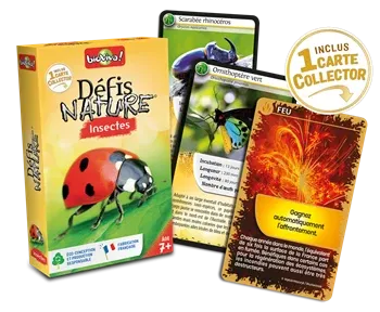 DEFIS NATURE INSECTES 2024 (FR), jeu de cartes