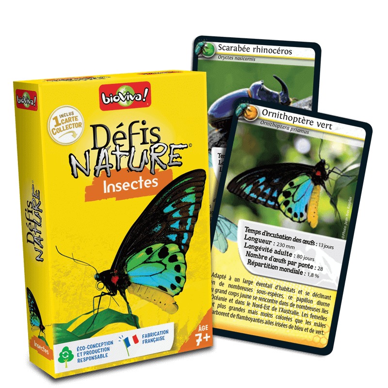 Défis Nature - Insectes, jeu de cartes