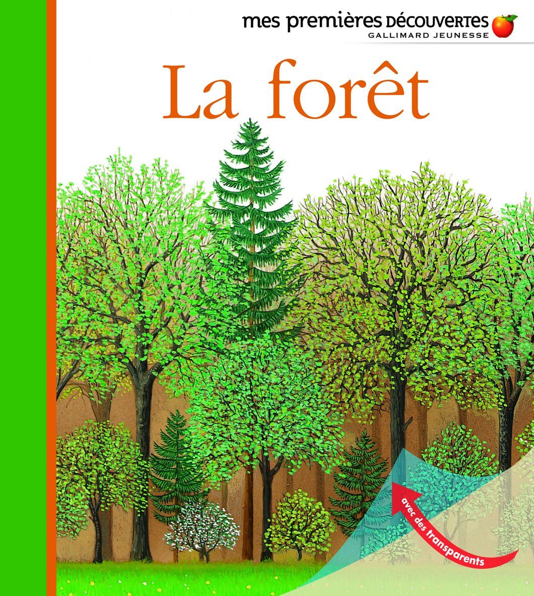 La Forêt – René Mettler (Illustrations) Livre éducatif