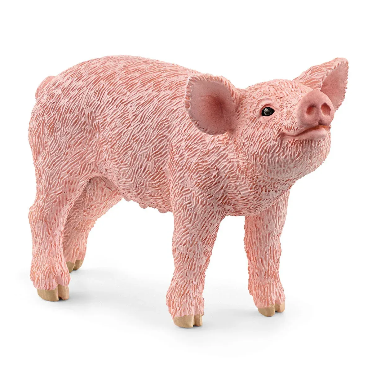 Schleich Bébé Cochon,  Porcelet