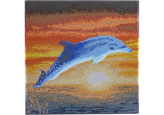 Dauphin Lever de soleil, image 30x30cm Crystal Art Kit, sur châssis en bois, tableau à diamanter