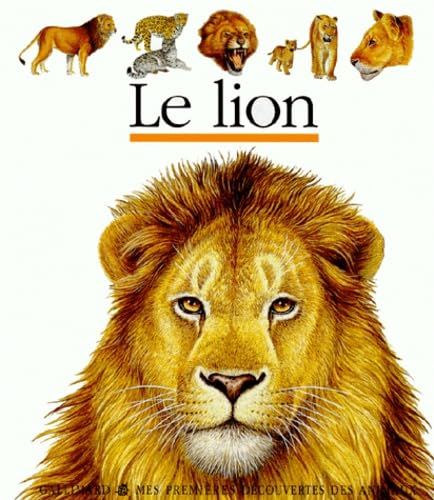 Livre éducatif, Mes premières découvertes, Gallimard, le Lion