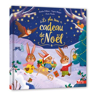 Livre Le plus beau Cadeau de Noël