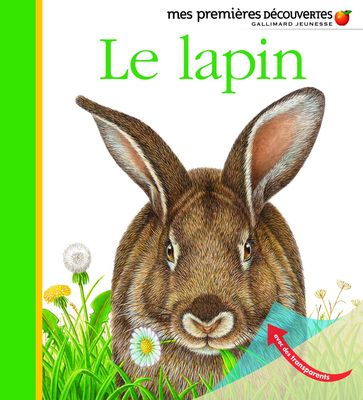 Livre Mes premières découvertes Le Lapin avec transparent
