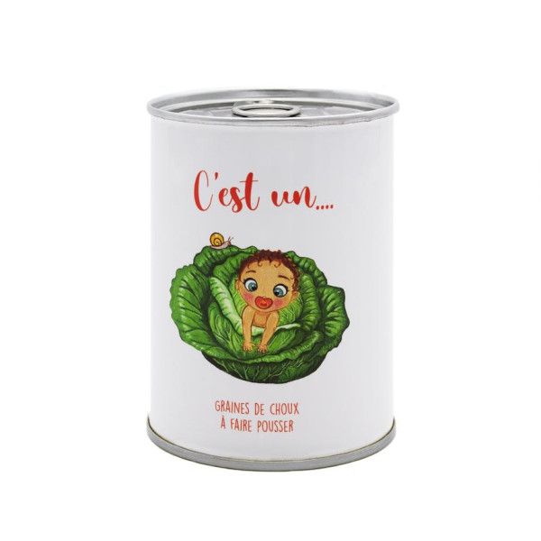 Kit graines à semer "C'est un ...", graines de choux