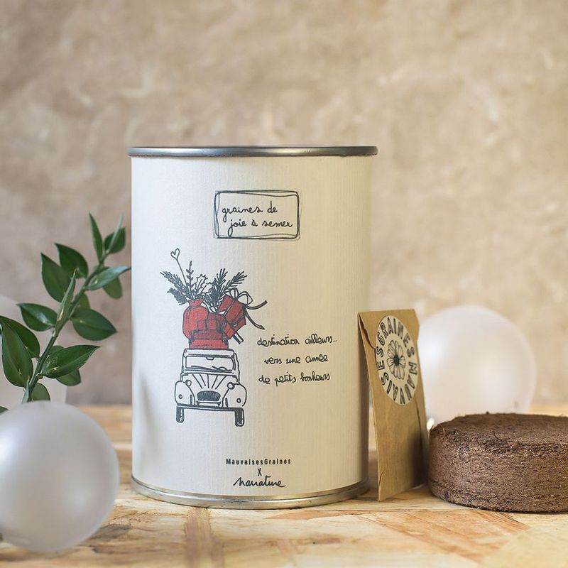 Kit  graines de Noël à semer " petits bonheurs", chargée d'amour et de douceur