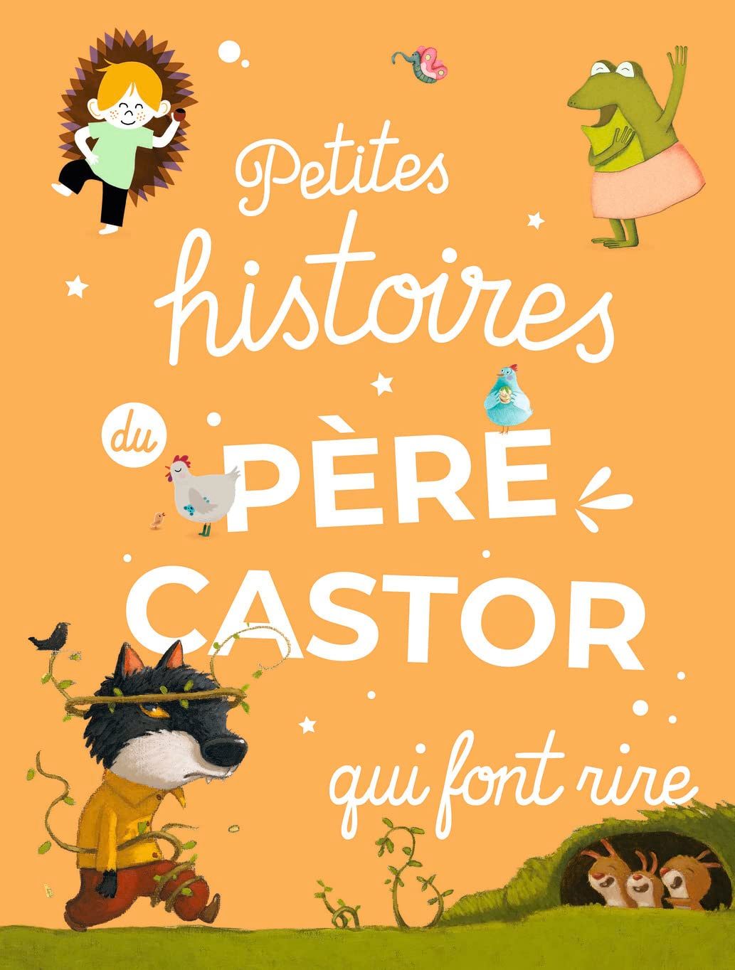Livre Petites histoires du Père Castor qui font rire