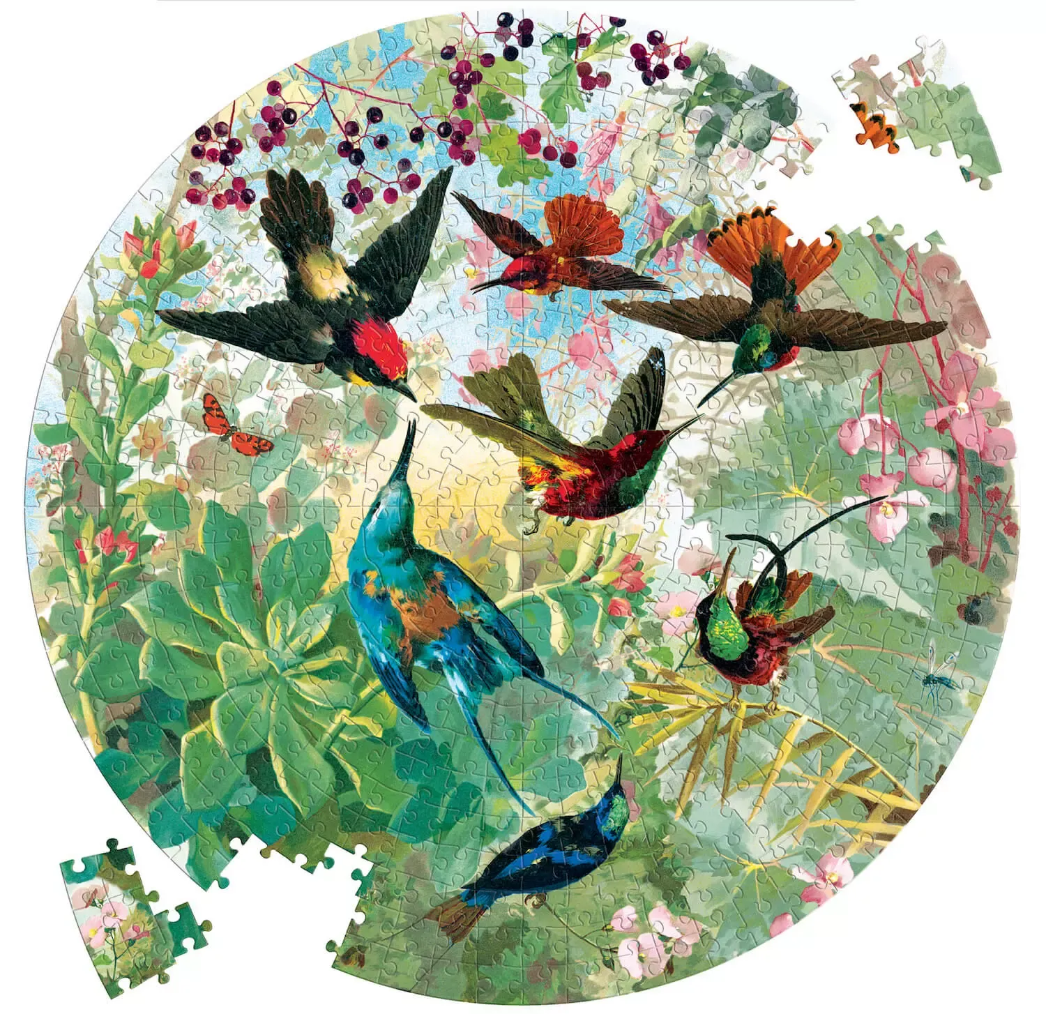 Puzzle Eeboo Colibris 500 pièces rond