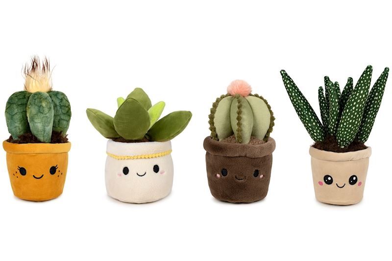 Peluche Plante cactus avec un visage souriant, Soft Garden 4 assortis, 23 cm