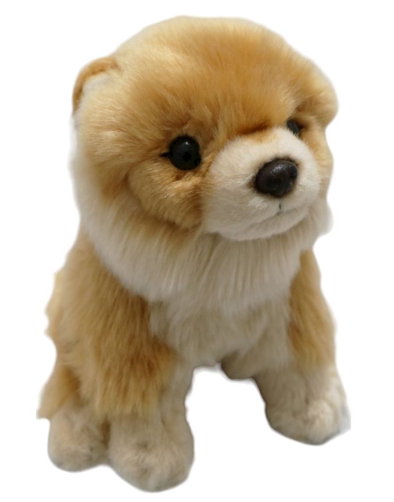 Peluche chien de poméranie