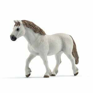 Poney-Welsh jument Scheich cheval