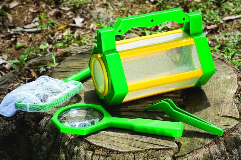 Buki Explorateur insectes
