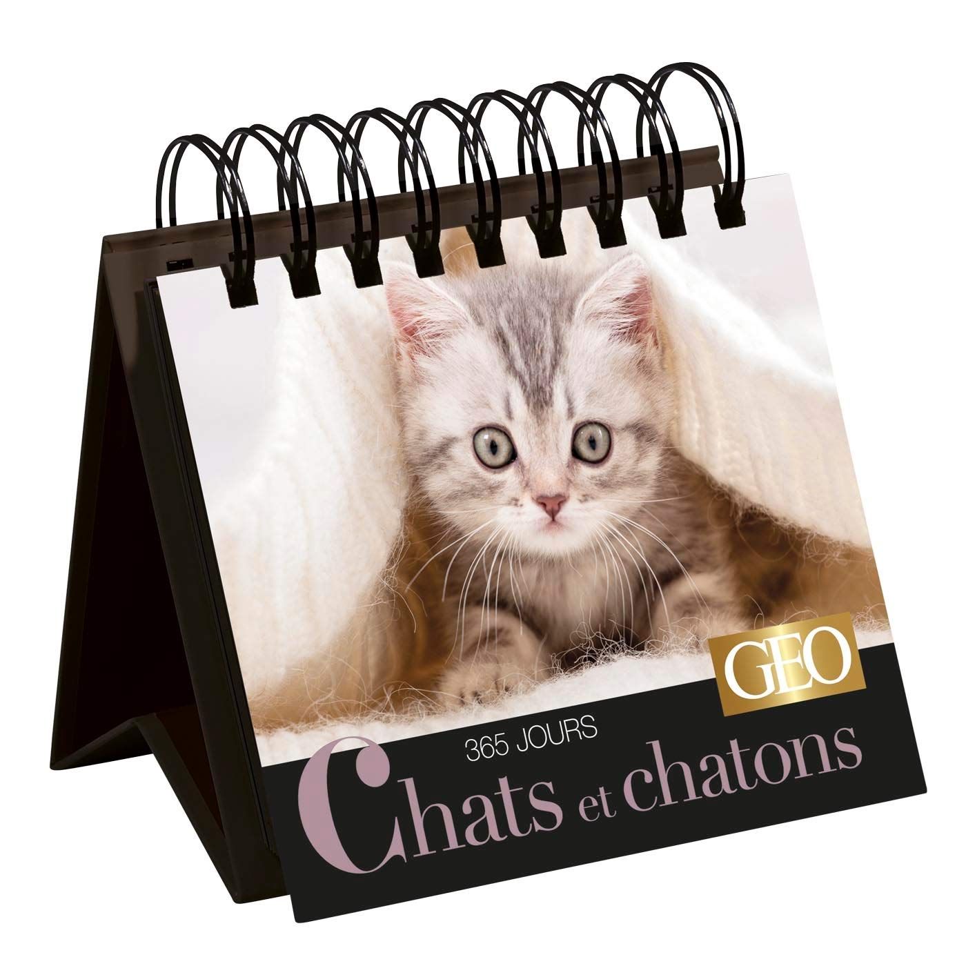 365 jours Chats et chatons - Calendrier perpétuel Géo