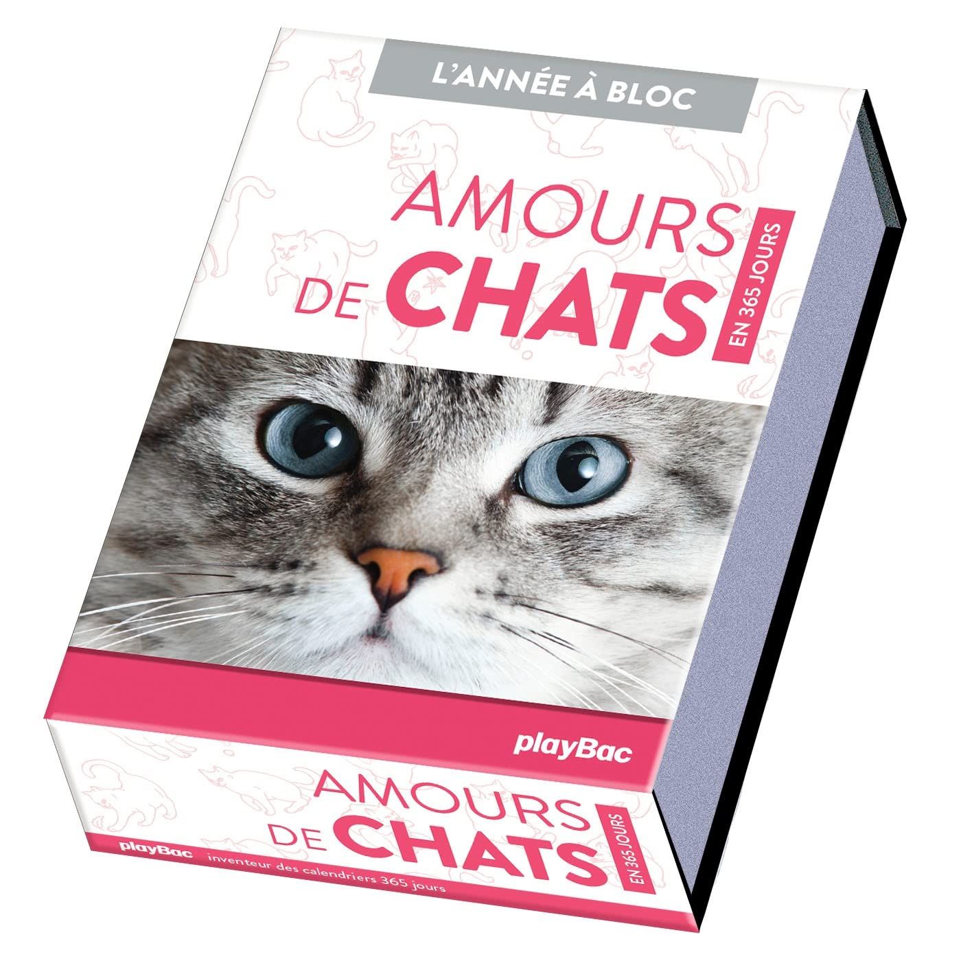 Calendrier perpétuel  Amours de chats en 365 jours - L'Année à bloc