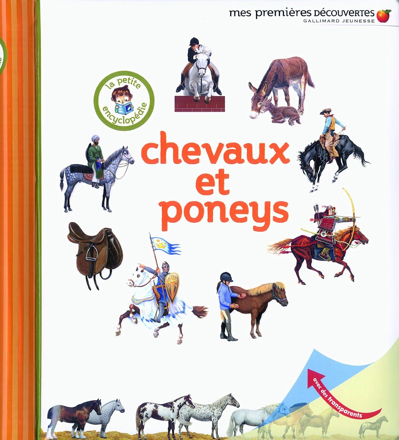 Livre Mes Premières Découvertes, chevaux et poneys, avec des transparents