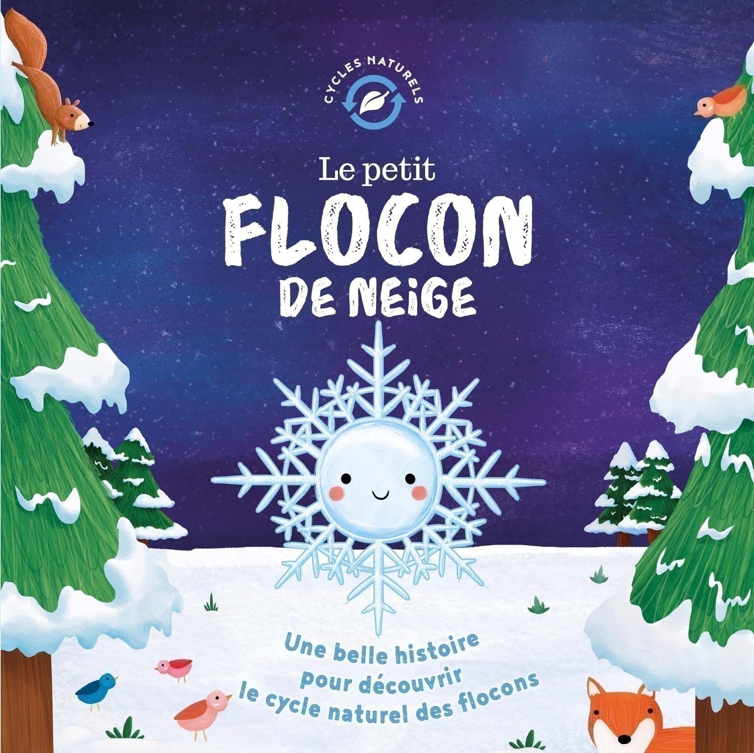 Livre Cycles naturels, Le petit flocon de neige