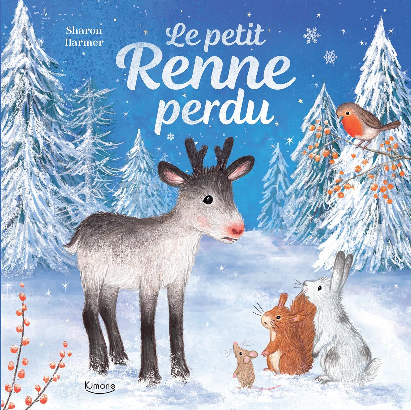 Livre Le petit renne perdu