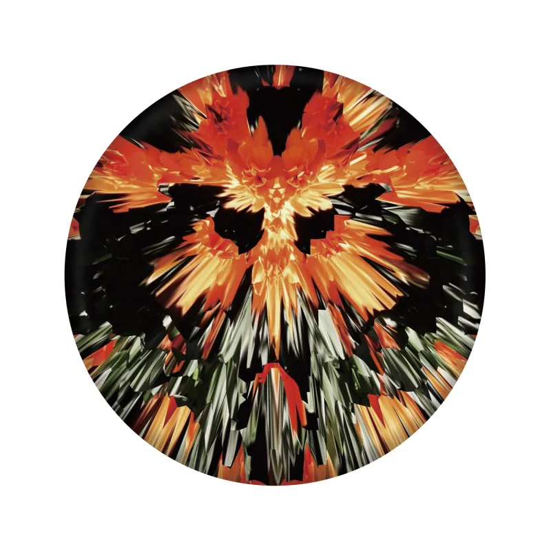 Waboba Disque volant Wingman Pro, couleur assorti, en silicone, diamètre 21 cm. frisbee