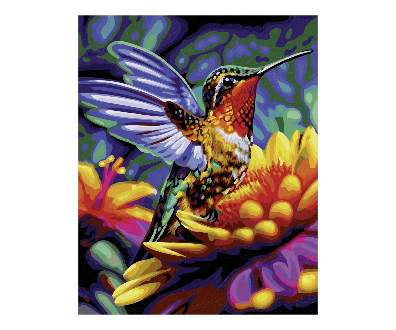 Peinture à numéro Colibri