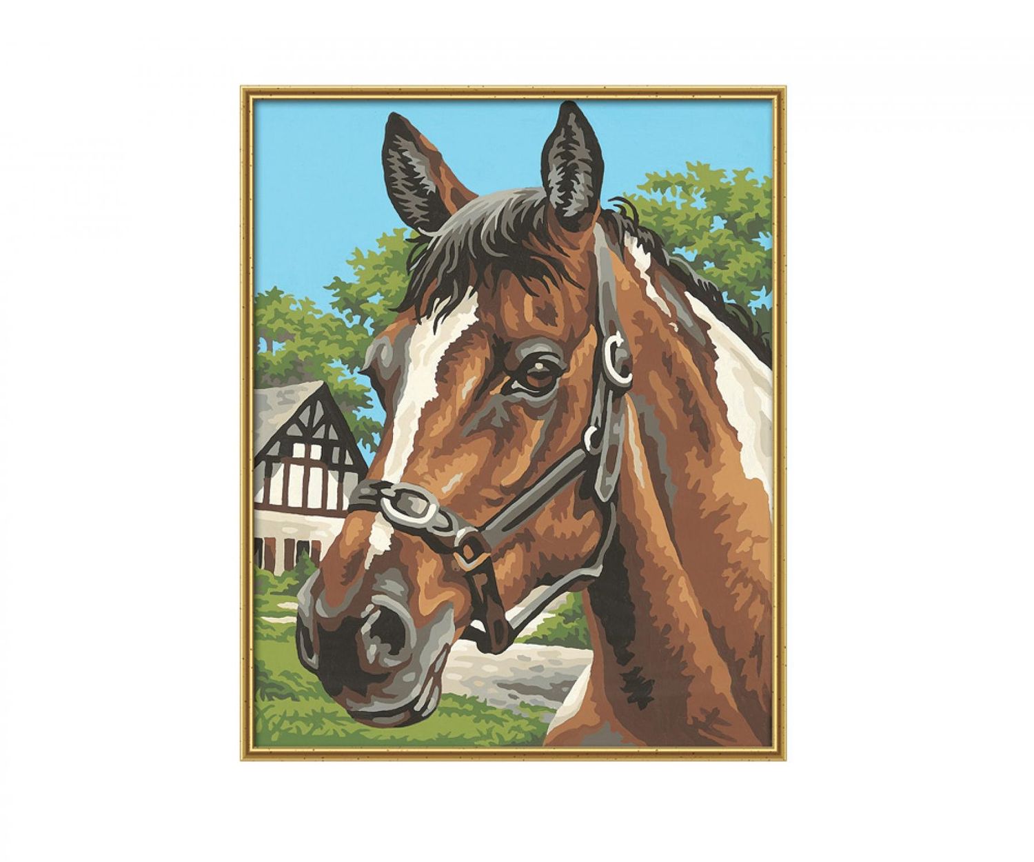 Peinture à numéro, Portrait de cheval