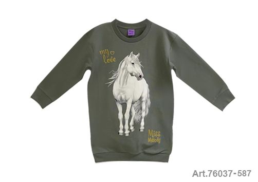 Pull long en coton, couleur vert sauge, avec cheval blanc