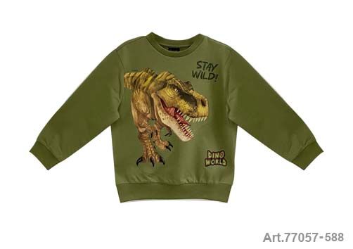 Pull en coton vert kaki avec dinosaure